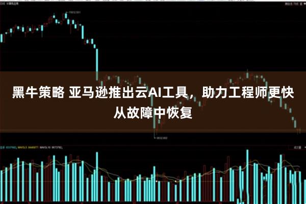 黑牛策略 亚马逊推出云AI工具，助力工程师更快从故障中恢复