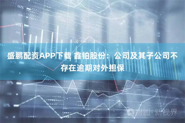 盛鹏配资APP下载 鑫铂股份：公司及其子公司不存在逾期对外担保