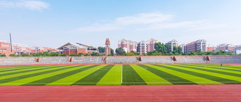 山东384分左右能上什么好的大学
