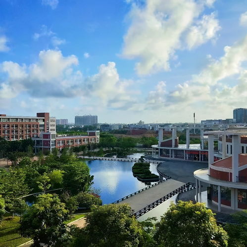 广东大学巡礼 广东茂名健康职业学院