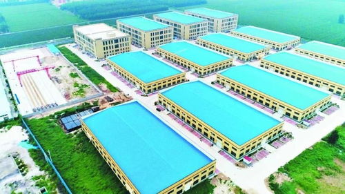 宁津 市县联动,激活国资国企改革新动能