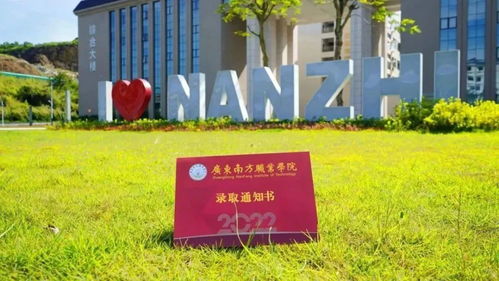 广东多所高校录取通知书闪亮登场 你的收到了吗
